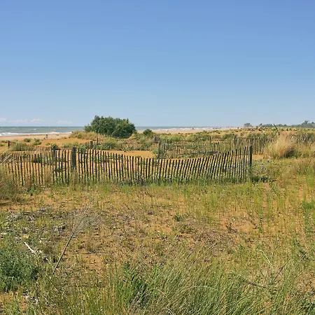 Bright With Garden Bibione