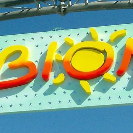 Bright With Garden *