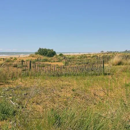 Bright With Garden *