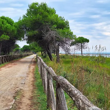 Bright Apartment With Garden * Bibione