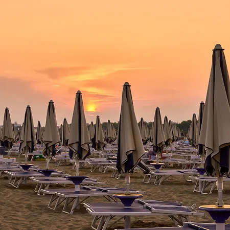Bright With Garden * Bibione